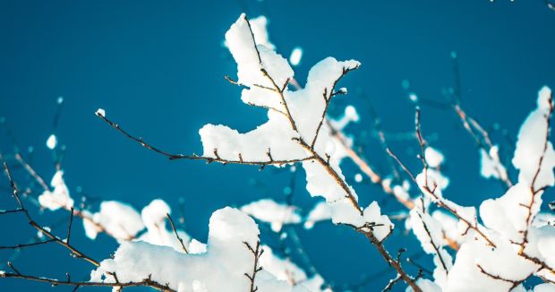 frost.minagric εφαρμογή προειδοποίησης για παγετό